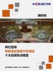 汽车及零部件-行业报告-维多利亚老品牌vic