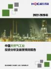 石油自然气-行业报告-维多利亚老品牌vic
