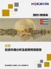 投资情形-行业报告-维多利亚老品牌vic