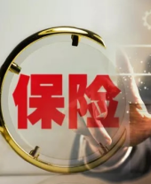 金融包管-新闻列表-维多利亚老品牌vic
