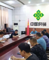 金融包管-新闻列表-维多利亚老品牌vic