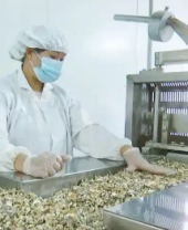 医疗康健-新闻列表-维多利亚老品牌vic