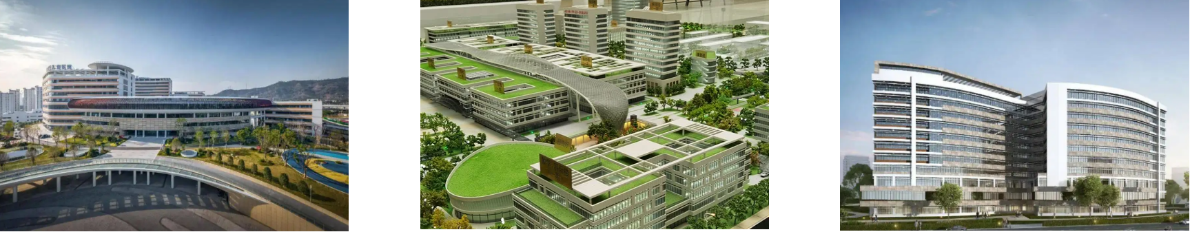 维多利亚老品牌vic(集团)官方网站