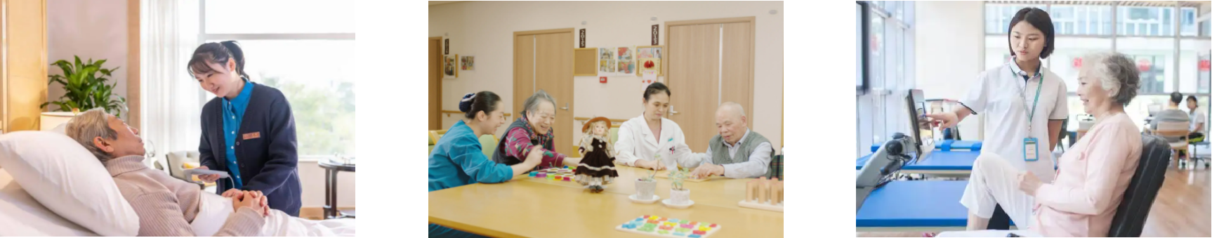 维多利亚老品牌vic(集团)官方网站