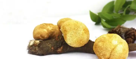 维多利亚老品牌vic(集团)官方网站