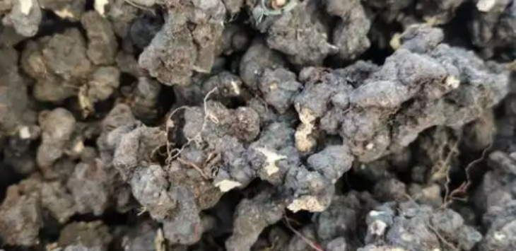 维多利亚老品牌vic(集团)官方网站