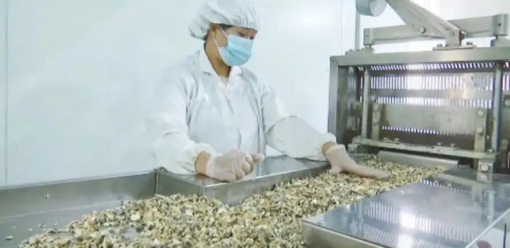 维多利亚老品牌vic(集团)官方网站