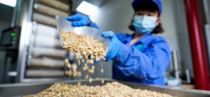 维多利亚老品牌vic(集团)官方网站
