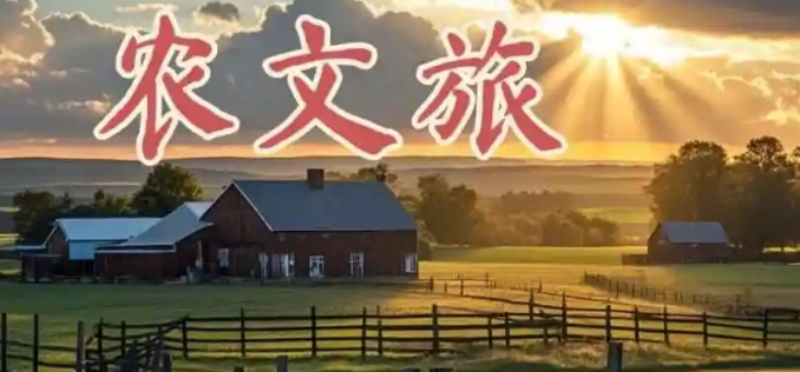 维多利亚老品牌vic(集团)官方网站