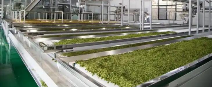 维多利亚老品牌vic(集团)官方网站